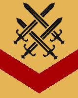 Die Dunklen Ritter