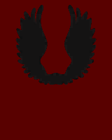The Warriors of Light