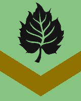 Blattlaeuse