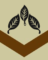 Die schützende Hand