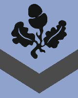 Seul