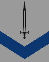 Dark Guards of Hibernia