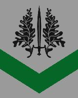 Les Ailes du Sud
