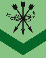 Green Arrows